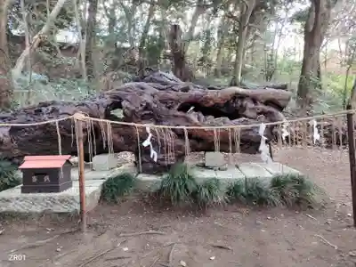 泉神社(茨城県)