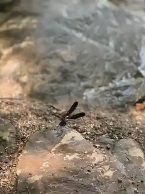賀茂別雷神社（上賀茂神社）(京都府)