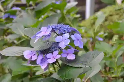 鵜森神社(三重県)