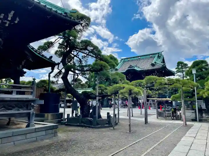 題経寺(柴又帝釈天)(東京都)