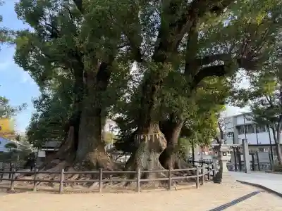 春日神社の{uncategorized: "未分類", other: "その他", undefined: "問題あり", building: "その他建物", grave: "お墓", sacred_gate: "鳥居", guardian: "狛犬", statue: "像", buddha: "仏像", history: "歴史", nature: "自然", garden: "庭園", animal: "動物", pagoda: "塔", temizu: "手水舎", mountain_gate: "山門・神門", sanctuary: "本殿・本堂", subordinate: "末社・摂社", art: "芸術", scenery: "景色", jizo: "地蔵", ema: "絵馬", goshuin: "御朱印", omikuji: "おみくじ", items: "授与品その他", amulet: "お守り", goshuincho: "御朱印帳", eats: "食事", festival: "お祭り", votive_dance: "神楽", shichigosan: "七五三参", wedding: "結婚式", experience: "体験その他", initially: "初詣", around: "周辺", anti_infection: "感染症対策"}