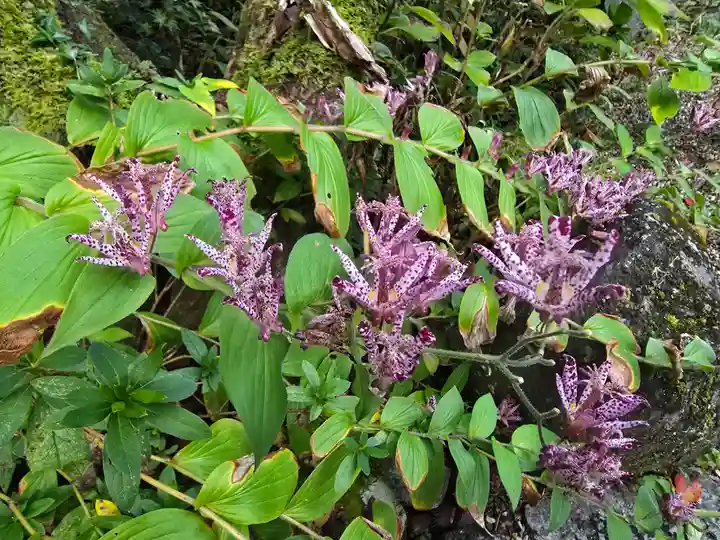 玄賓庵(奈良県)