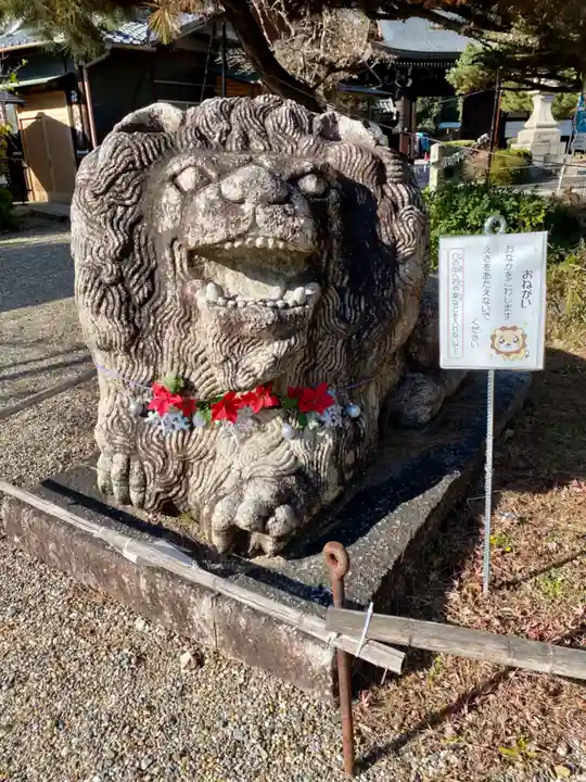 京都乃木神社の狛犬