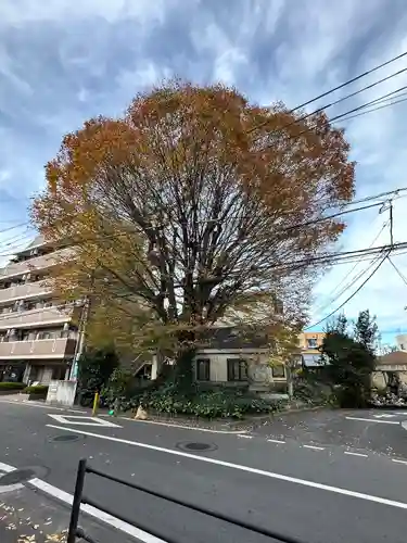 小野神社の自然