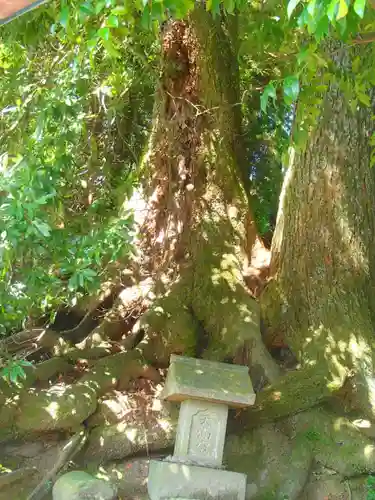 舟森山武並神社の末社・摂社