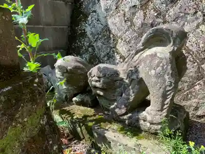 沢湯泉神社の狛犬