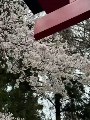 吾妻神社の{uncategorized: "未分類", other: "その他", undefined: "問題あり", building: "その他建物", grave: "お墓", sacred_gate: "鳥居", guardian: "狛犬", statue: "像", buddha: "仏像", history: "歴史", nature: "自然", garden: "庭園", animal: "動物", pagoda: "塔", temizu: "手水舎", mountain_gate: "山門・神門", sanctuary: "本殿・本堂", subordinate: "末社・摂社", art: "芸術", scenery: "景色", jizo: "地蔵", ema: "絵馬", goshuin: "御朱印", omikuji: "おみくじ", items: "授与品その他", amulet: "お守り", goshuincho: "御朱印帳", eats: "食事", festival: "お祭り", votive_dance: "神楽", shichigosan: "七五三参", wedding: "結婚式", experience: "体験その他", initially: "初詣", around: "周辺", anti_infection: "感染症対策"}