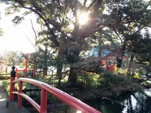 千束八幡神社の自然