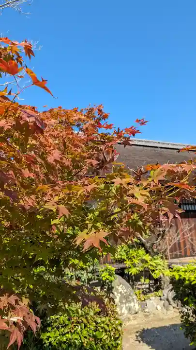 勧修寺(京都府)