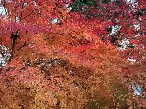 国宝 大法寺(長野県)