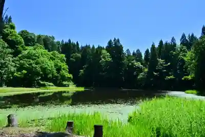 郡殿の池弁財天社(新潟県)