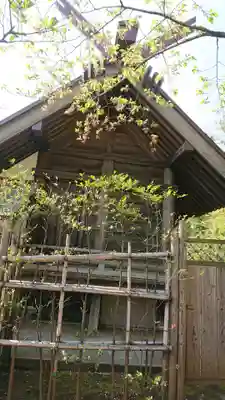 代田八幡神社の本殿・本堂