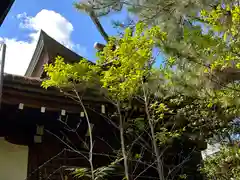 白山神社(奈良県)