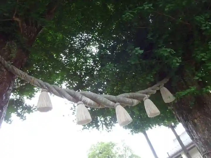 亀ケ池八幡宮のその他建物