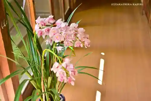 石歴山　妙勝寺のその他建物