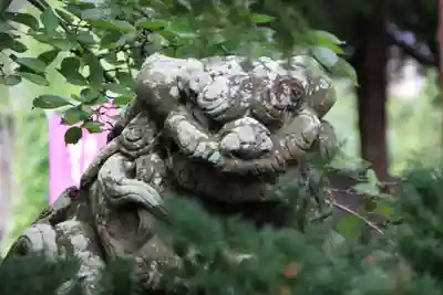 高司神社〜むすびの神の鎮まる社〜の狛犬