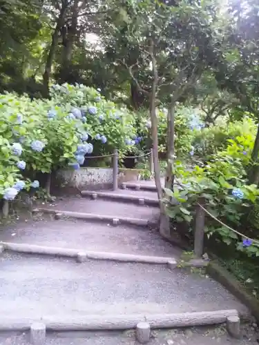 明月院(神奈川県)