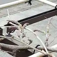 西方山極楽寺(岐阜県)