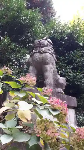 赤坂氷川神社の狛犬