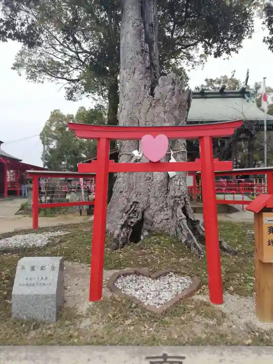 恋木神社の鳥居