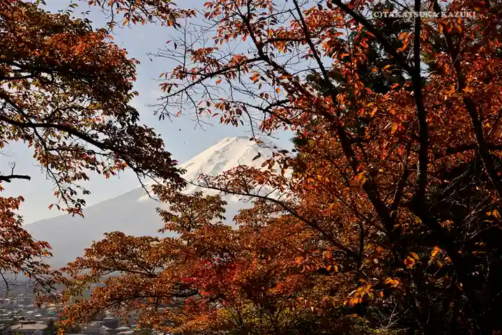 新倉富士浅間神社の自然