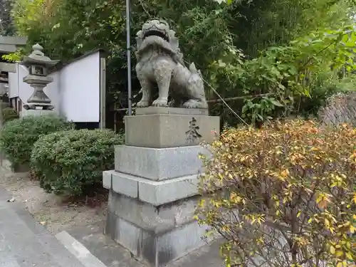 春日神社の狛犬