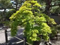 満昌寺(神奈川県)