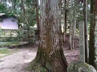 小畑神社(愛知県)