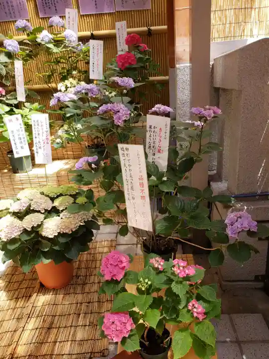 十番稲荷神社(東京都)