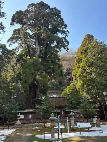 若狭姫神社（若狭彦神社下社）(福井県)