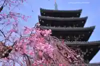 香林寺(神奈川県)