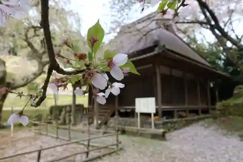 西光寺の自然