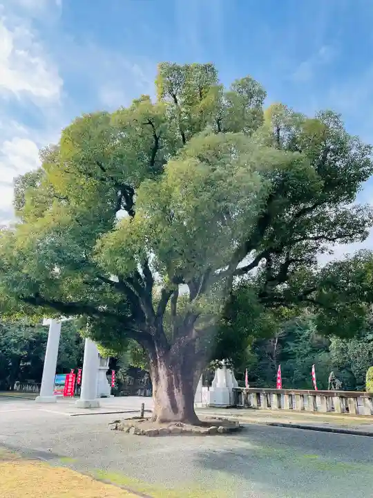 福岡縣護國神社(福岡県)
