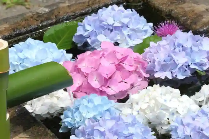 国宝 大法寺の手水舎