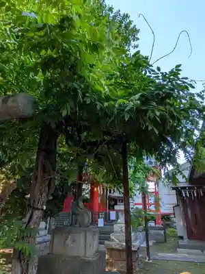 藤神稲荷神社(東京都)