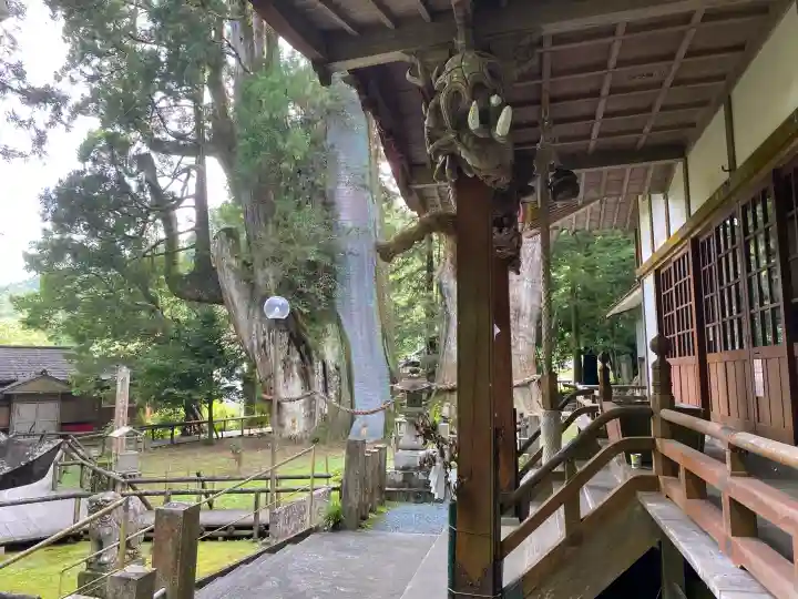 八坂神社(高知県)