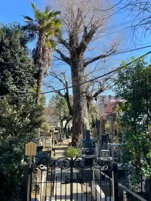 幸國寺(東京都)