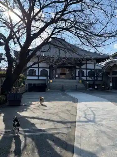 感通寺の本殿・本堂