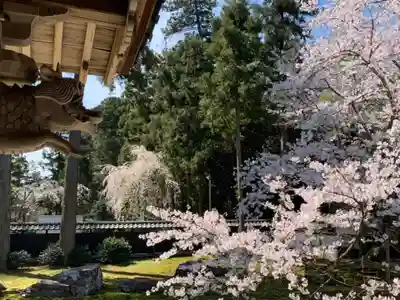 瀧谷寺(福井県)