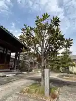 教興寺(兵庫県)