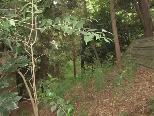 前玉神社(埼玉県)