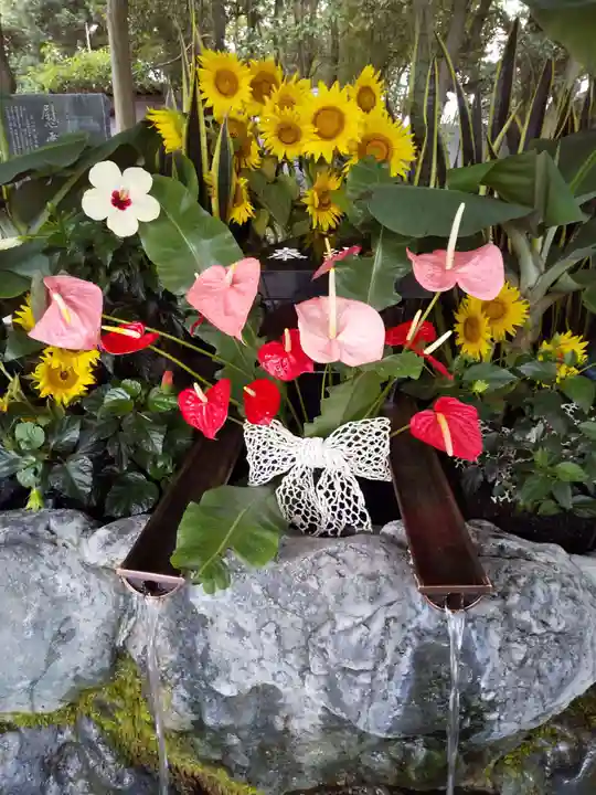 滋賀県護国神社(滋賀県)