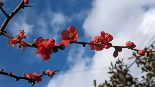 菅大臣神社(京都府)
