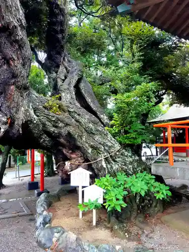 高塚熊野神社の庭園