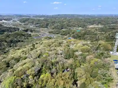 東京湾観音教会(千葉県)