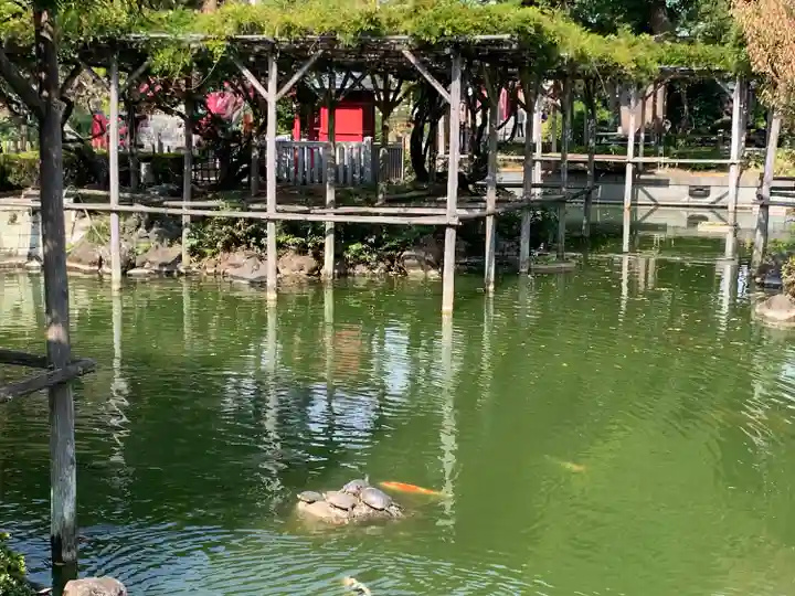 亀戸天神社(東京都)