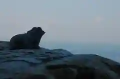 二見興玉神社の狛犬