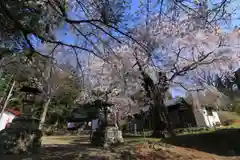 諏訪神社の景色