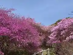 廣田神社の自然