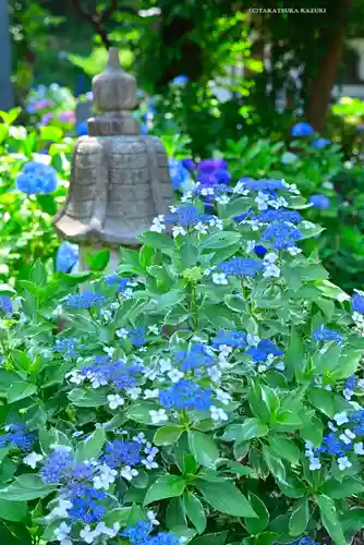 妙楽寺(神奈川県)